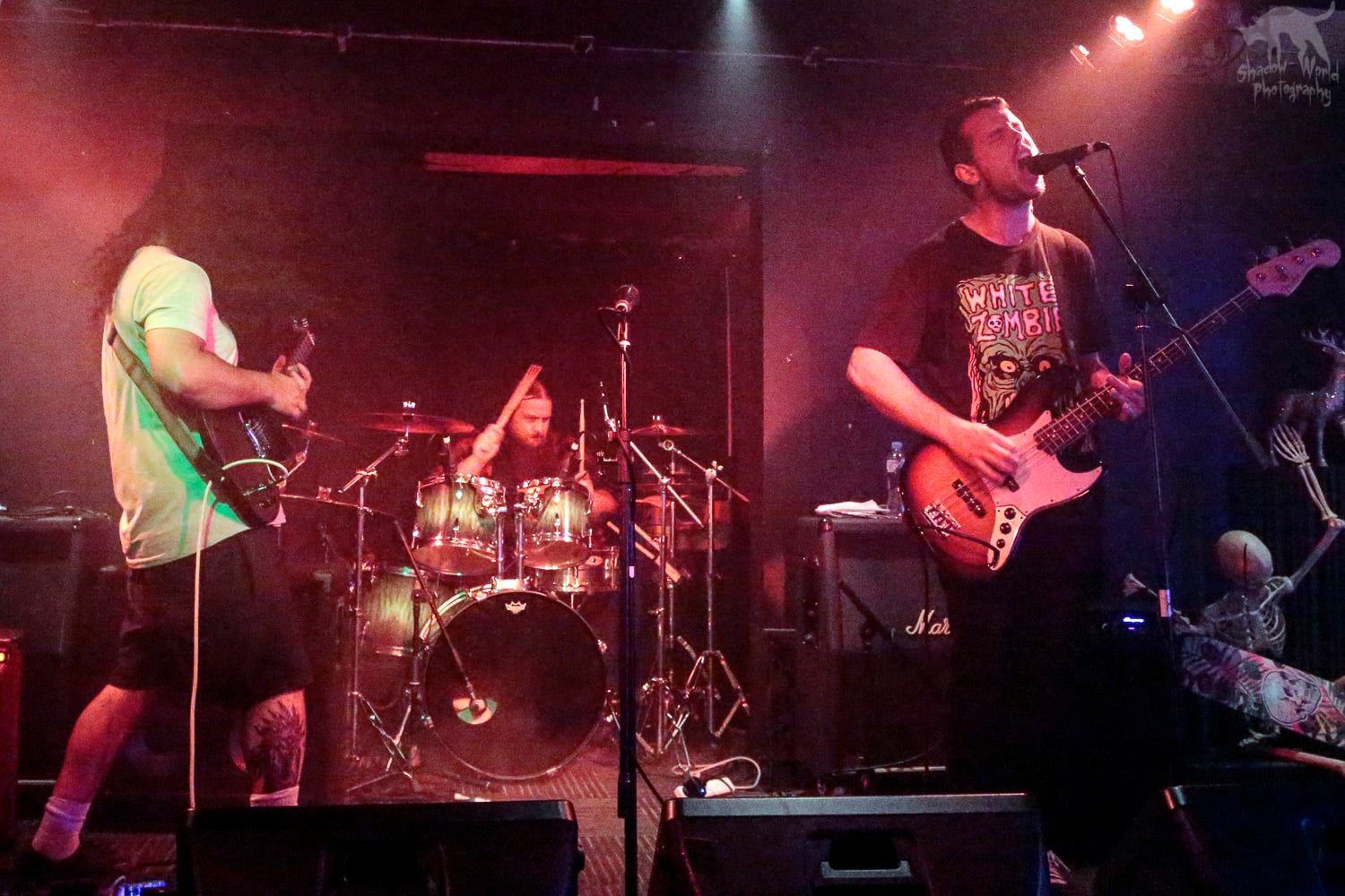 Magic Chicken Fudgetoe